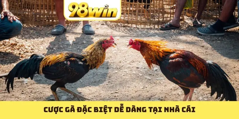 Cược gà đặc biệt dễ dàng tại nhà cái